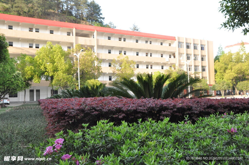 校园建筑前的绿植景观