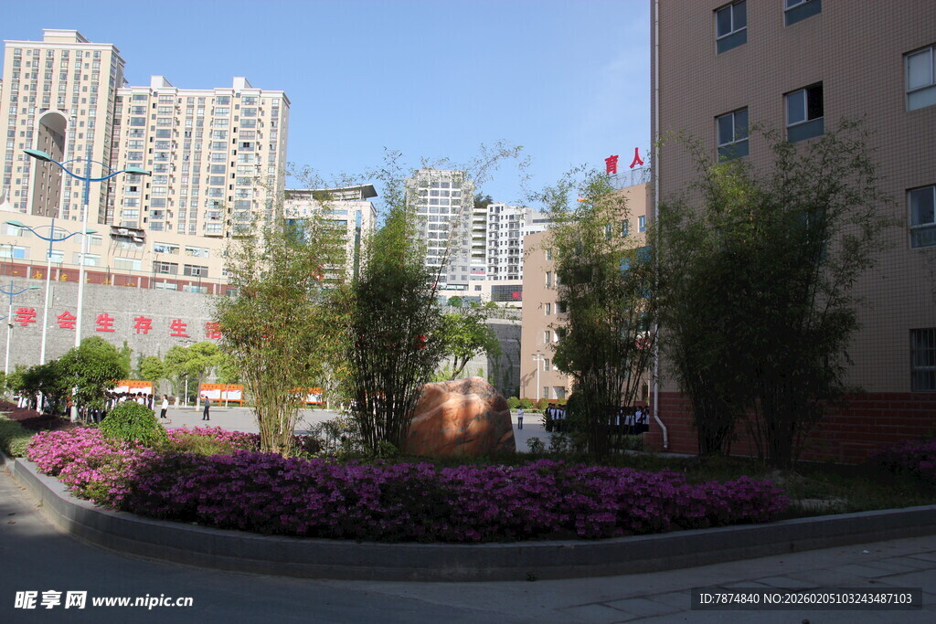 小区内美丽的花卉景观