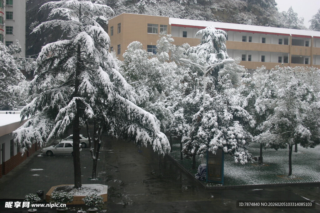 雪覆树木旁的建筑物