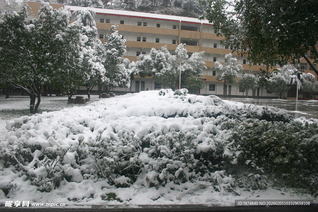 雪覆绿植与建筑景观