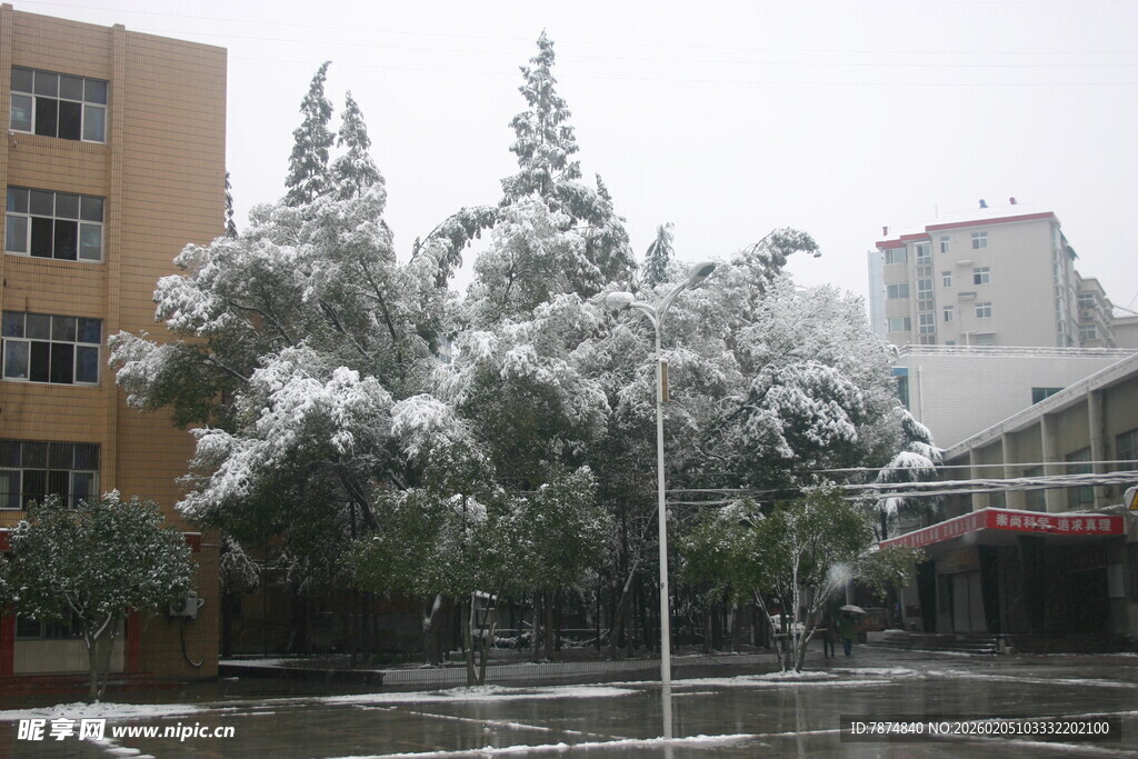 校园雪景中的树木与建筑