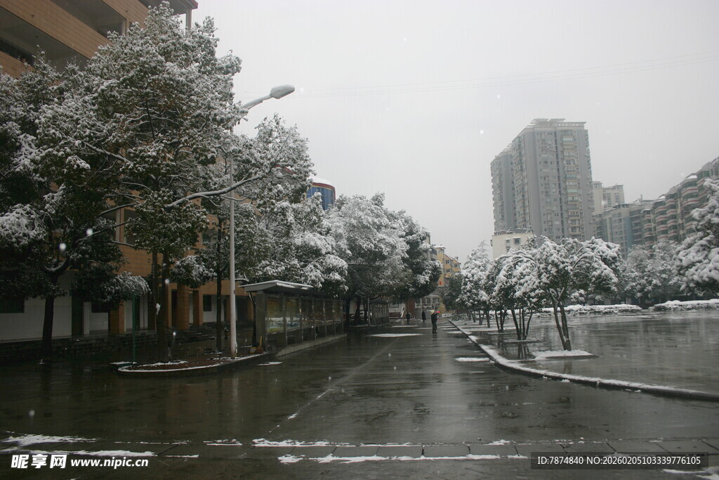 雪后城市街道景观