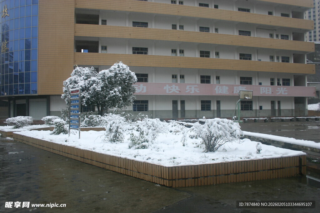 雪后小区的绿植景观