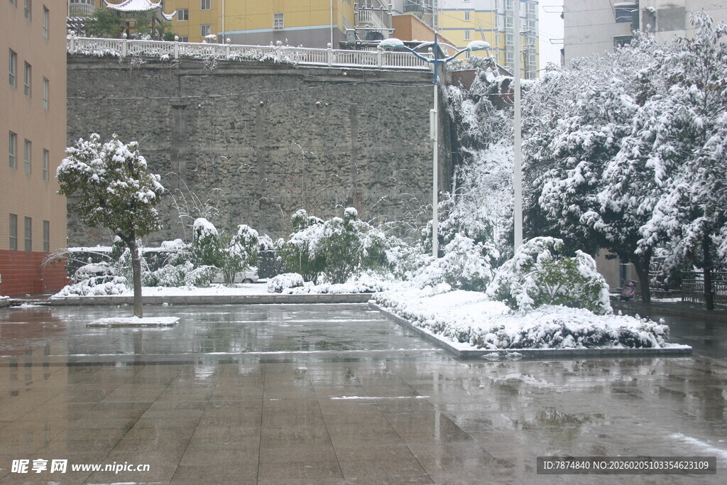 雪后校园景致