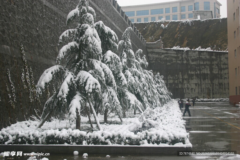 雪覆雕塑景观