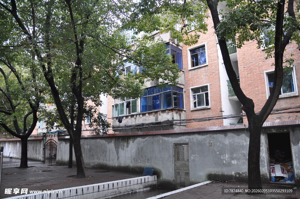 街边居民楼与绿树景观