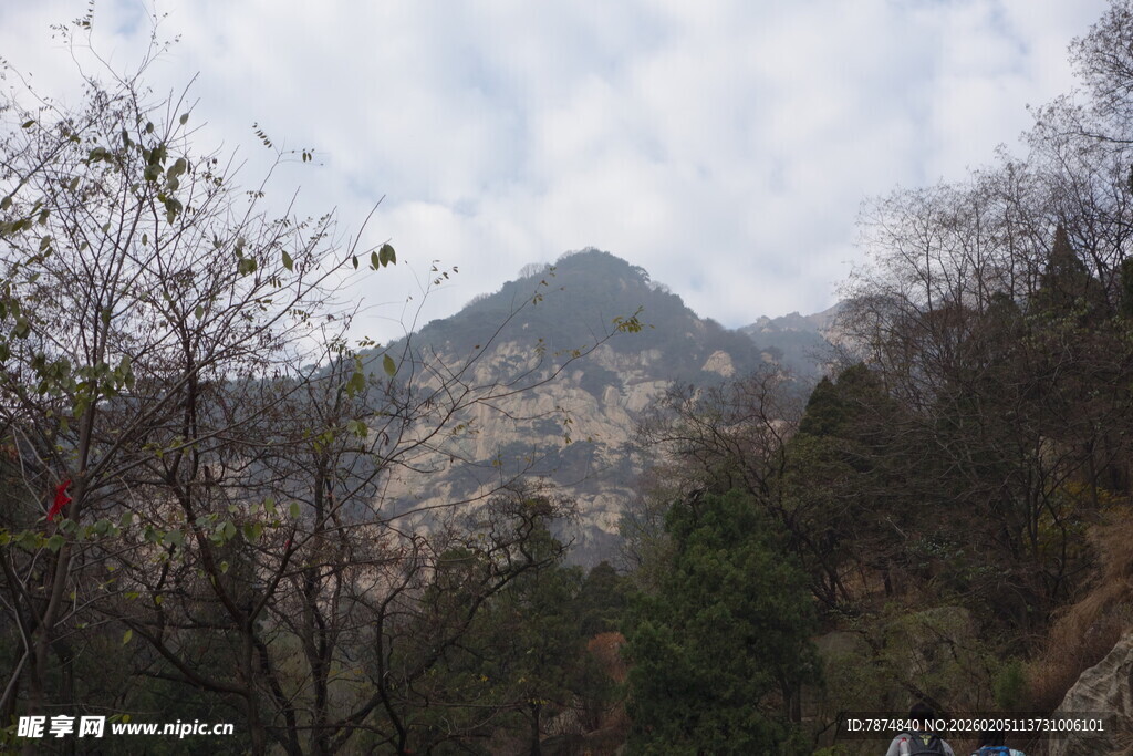 泰山山间景色 山林与远处山峰