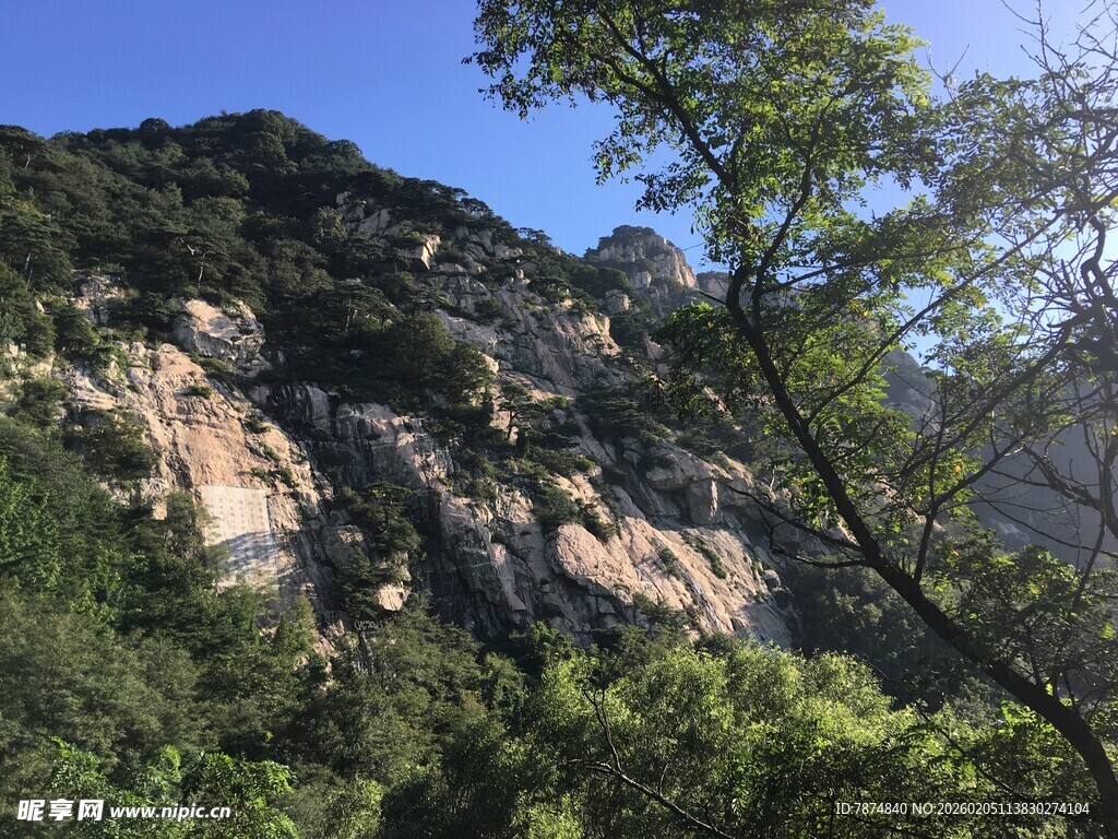 泰山青山绿树间的壮丽山景