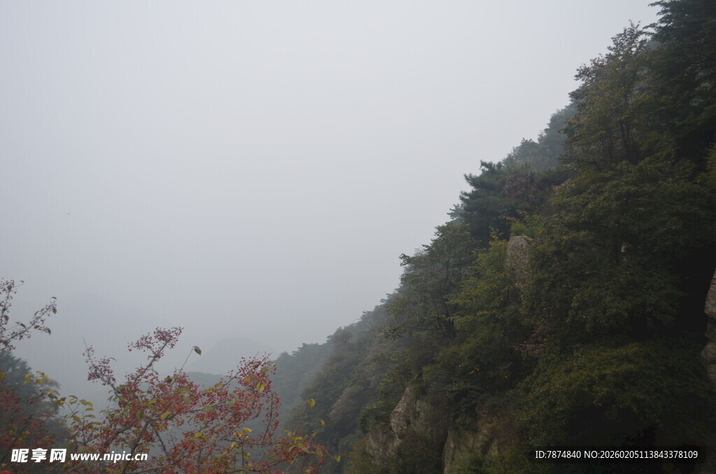 泰山山间雾景 植被繁茂