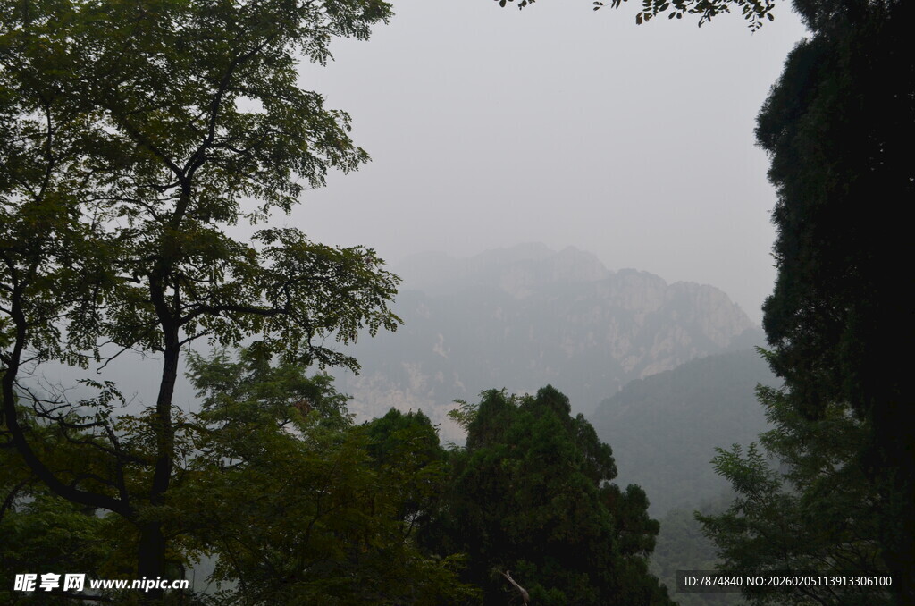 泰山山林雾景 静谧自然风光