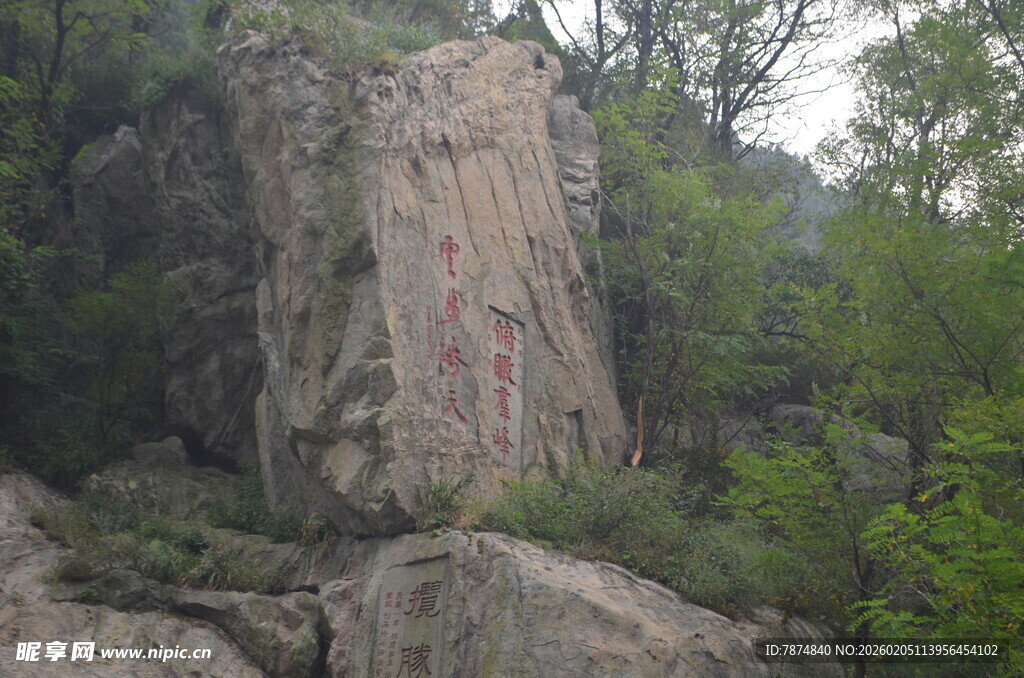 泰山陡峭岩壁旁的葱郁山林
