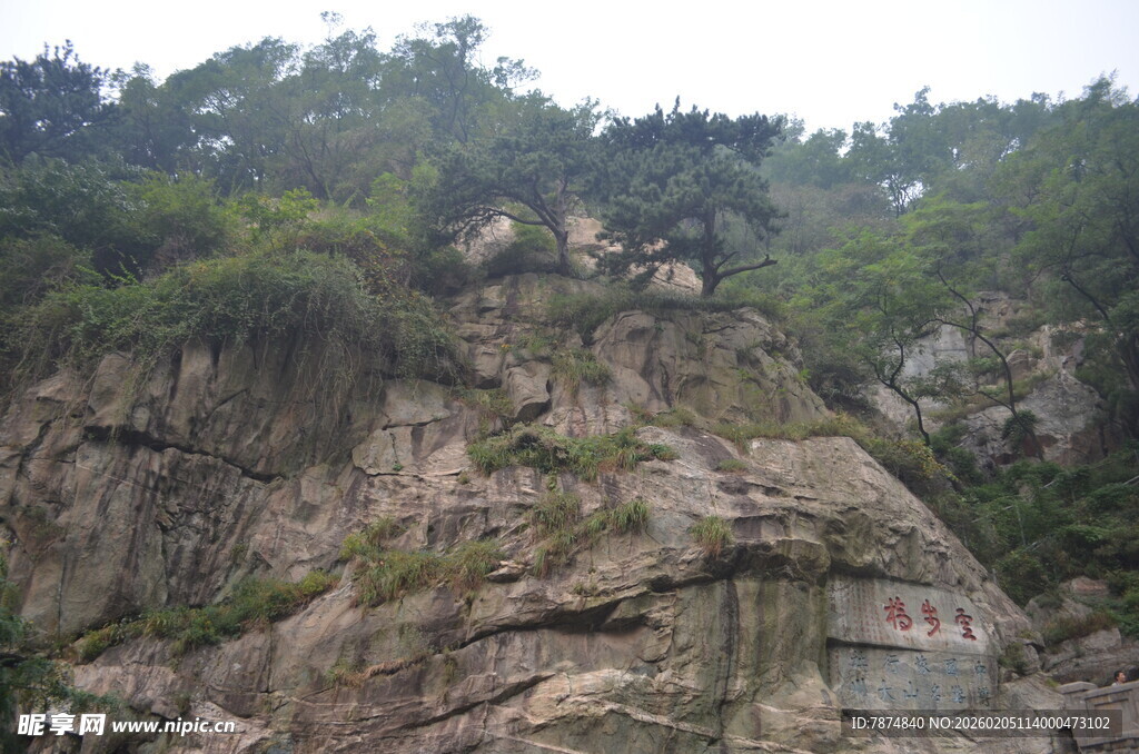 泰山陡峭山崖上的繁茂植被