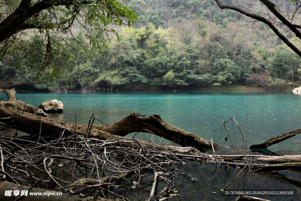 荔波湖畔林间景致