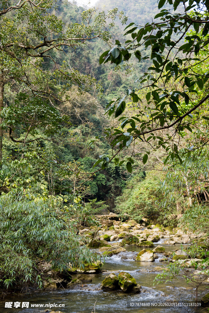 荔波山林间潺潺溪流美景