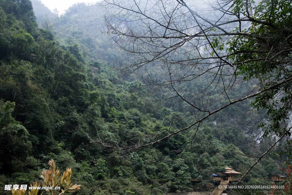 荔波山间葱郁景色