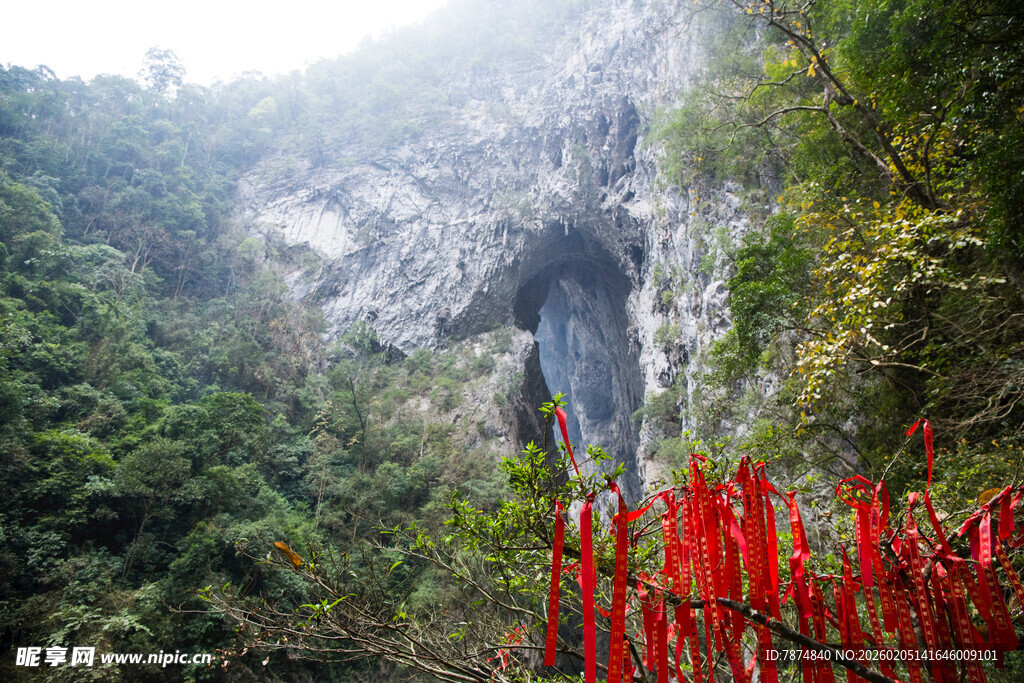 荔波山间奇景 红植伴峭壁