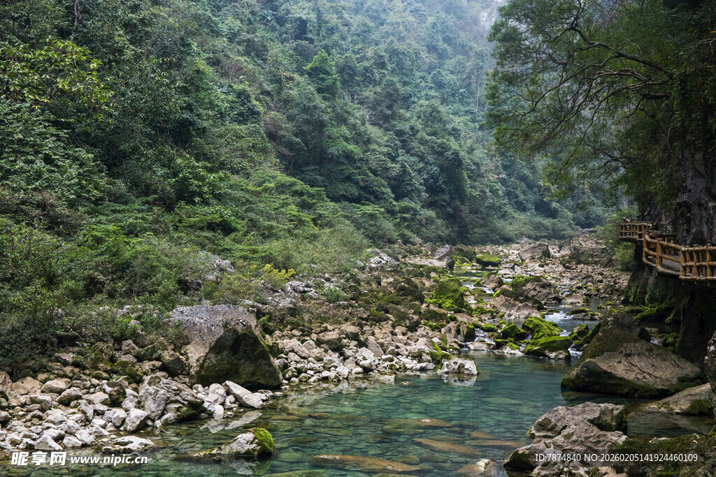 荔波山间清澈溪流 绿意盎然