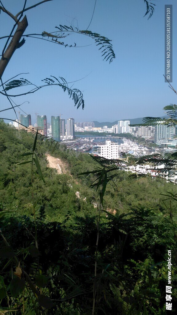 三亚俯瞰绿树掩映下的城市景观