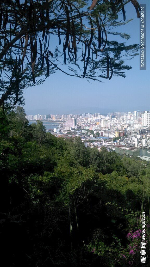 三亚山林间远眺城市景观