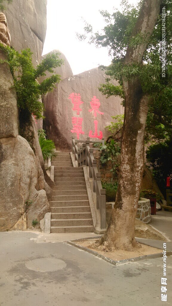 三亚古雅石阶旁的繁茂树木