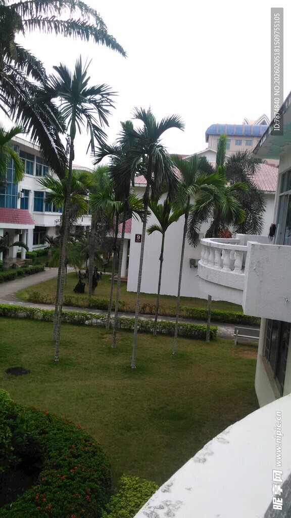 三亚热带风情庭院景观