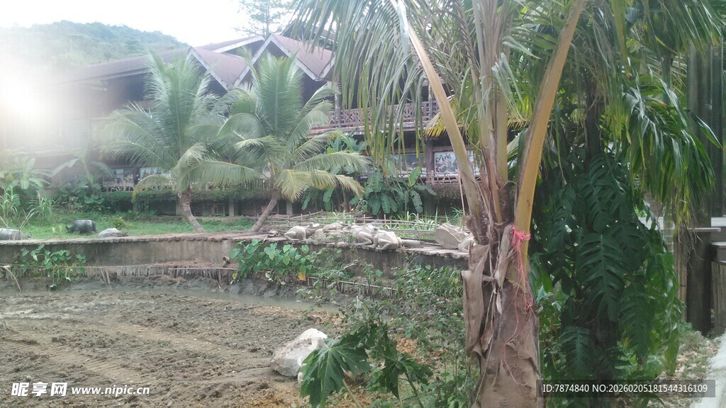 三亚乡村田园风光景象