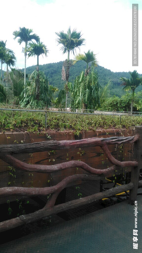 三亚蜿蜒木围栏旁的绿植景观