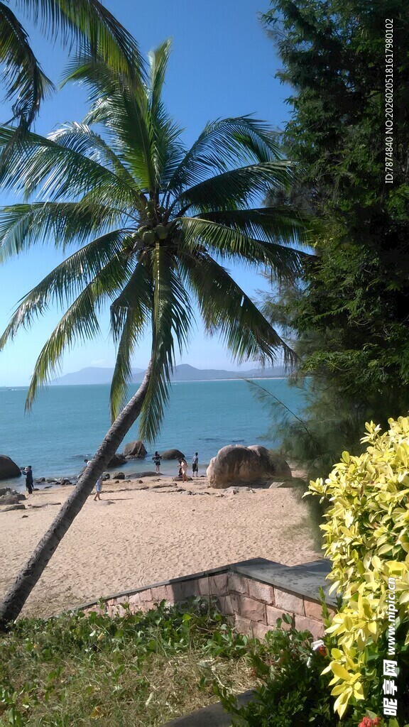 三亚热带海滩风光 椰树与海景