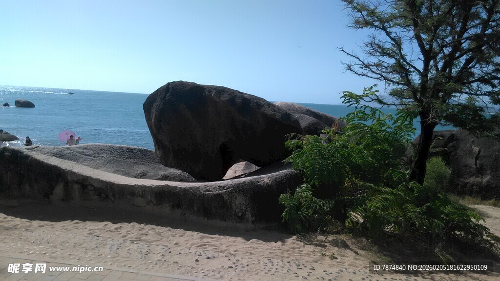三亚海边巨石旁的绿植景观