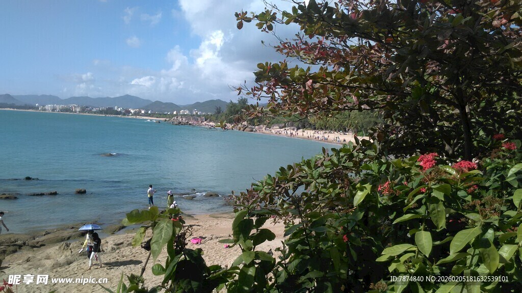 三亚海边美景 绿植繁花伴碧海