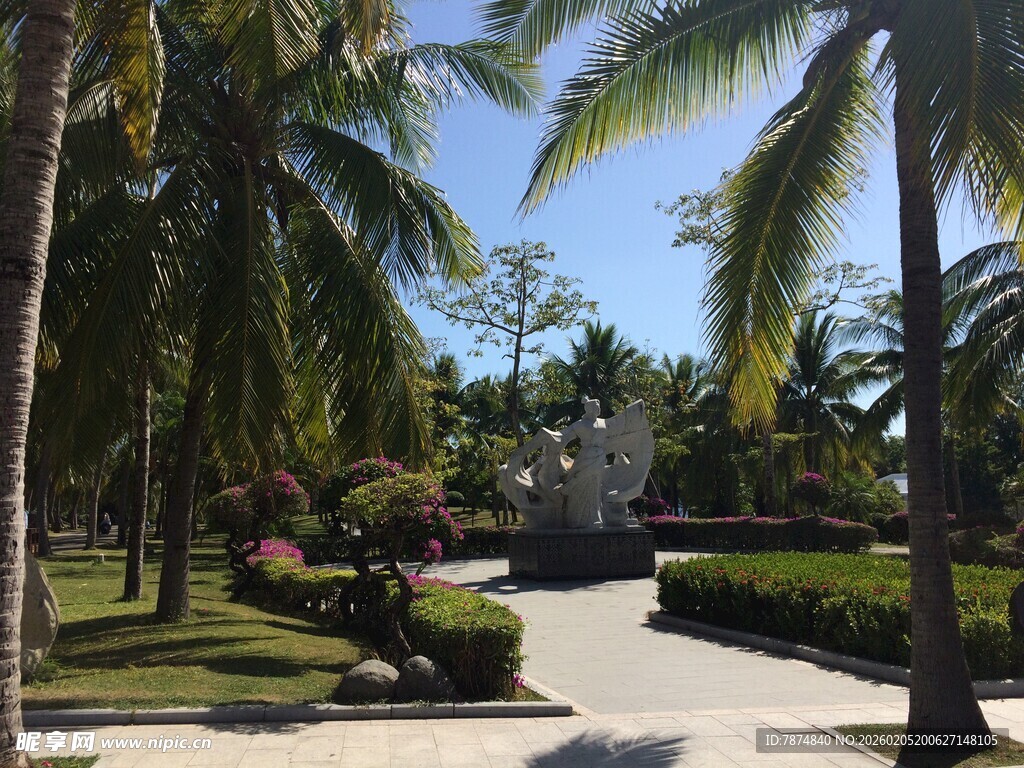 三亚热带园林中的棕榈树小径