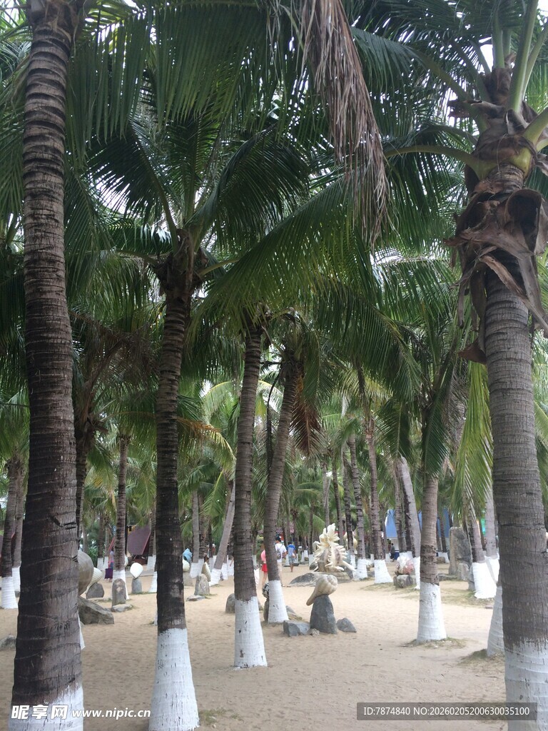 三亚椰林沙滩美景