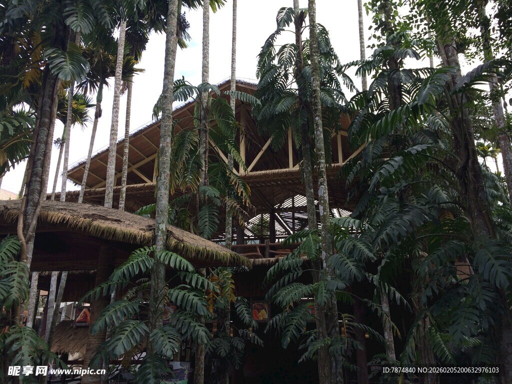 三亚丛林中的木质树屋