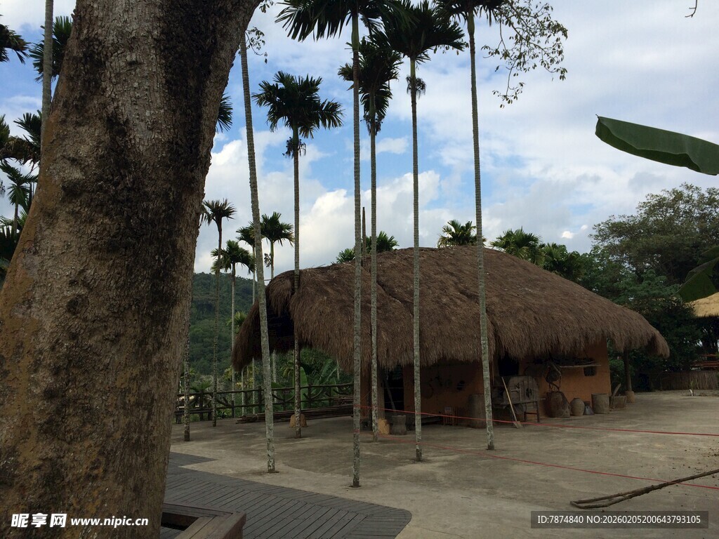 三亚热带茅草屋与高大棕榈树