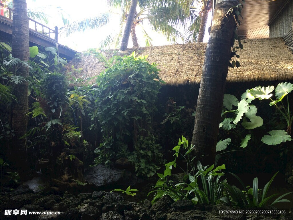 三亚繁茂绿植环绕的庭院角落