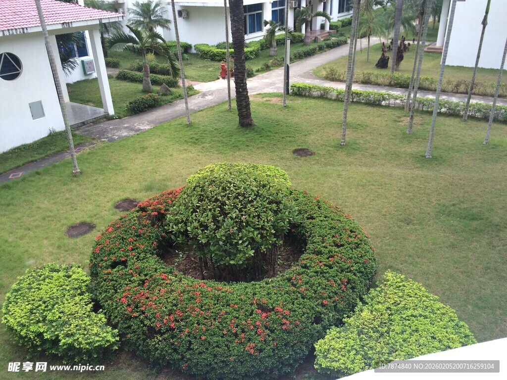 三亚庭院绿植景观