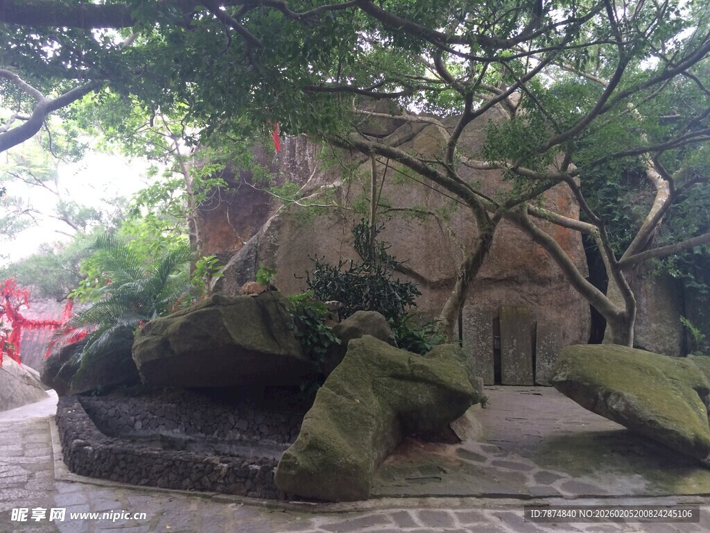 三亚园林景观中的巨石与树木