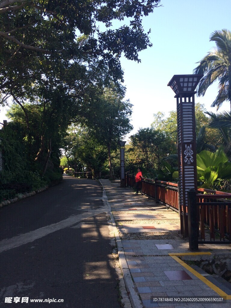 三亚林荫街道旁的精致路灯