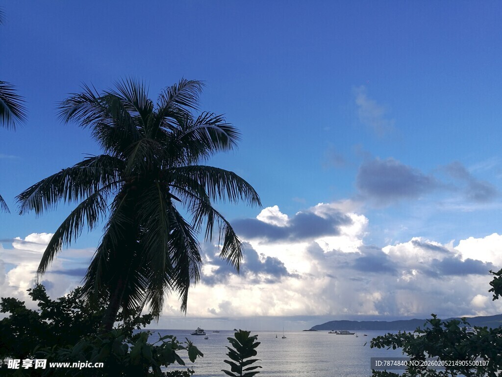 三亚海边椰树与蓝天白云美景