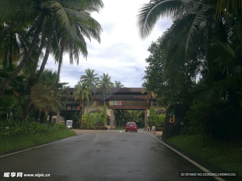 三亚热带林荫下的静谧道路