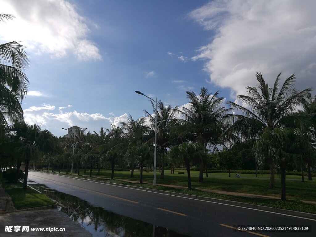 三亚椰树成排的宽阔道路