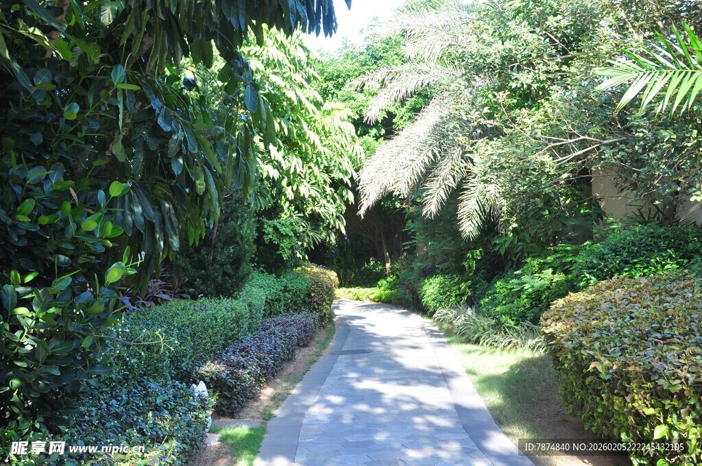 三亚林间幽径 绿意盎然的景致