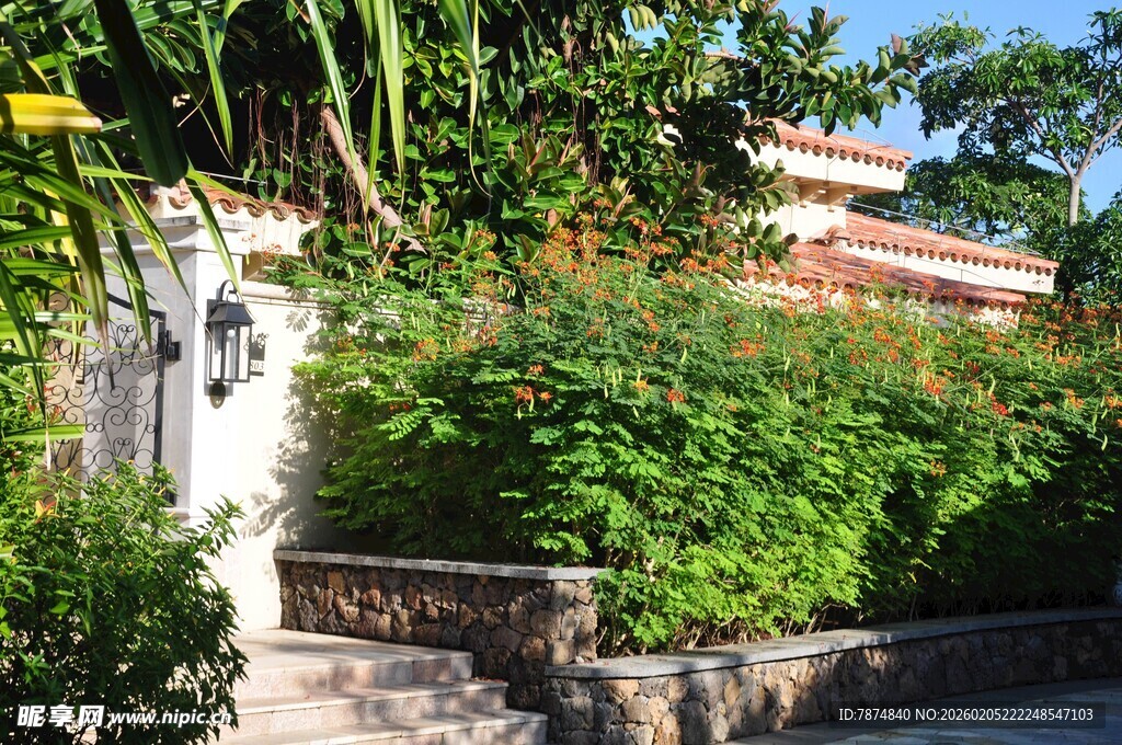 三亚庭院绿植环绕的闲适景致