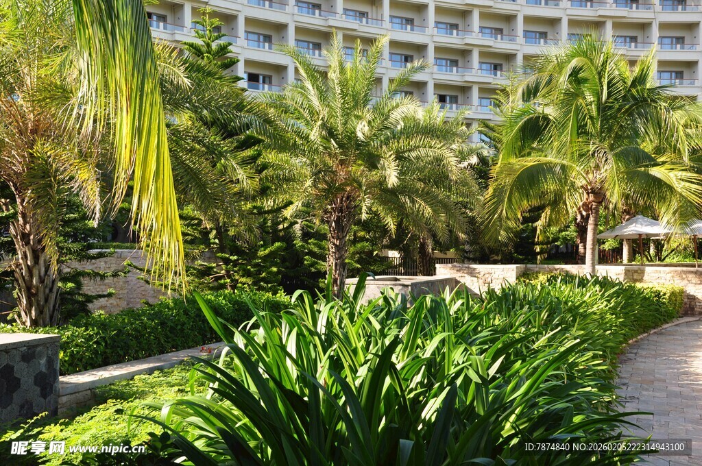 三亚热带园林中的度假酒店景观