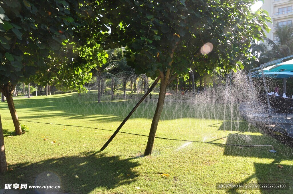 三亚草坪上的自动喷水装置