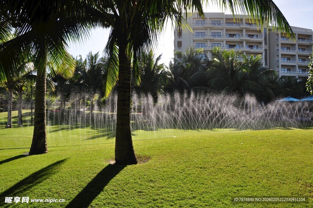 三亚热带草坪旁的棕榈树与建筑