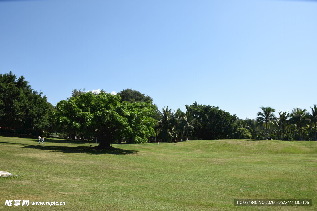 三亚绿意盎然的高尔夫球场
