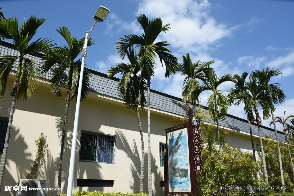 三亚热带风情建筑旁的棕榈树