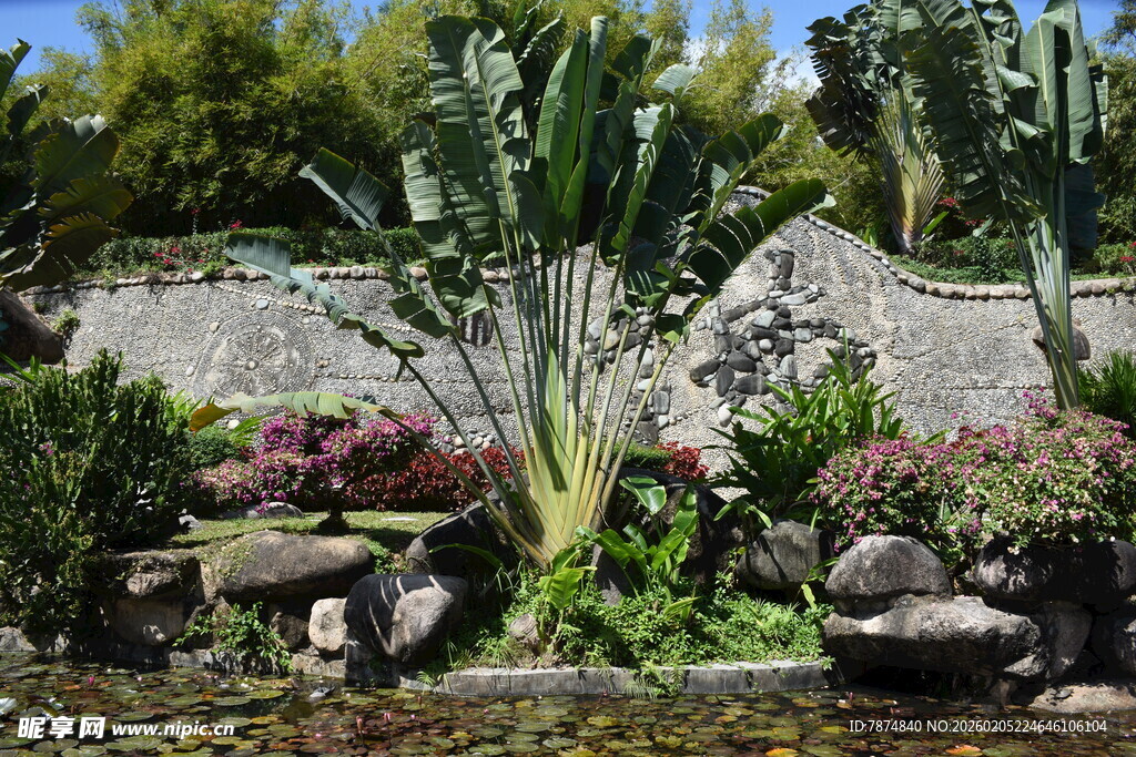 三亚庭院绿植景观 生机盎然