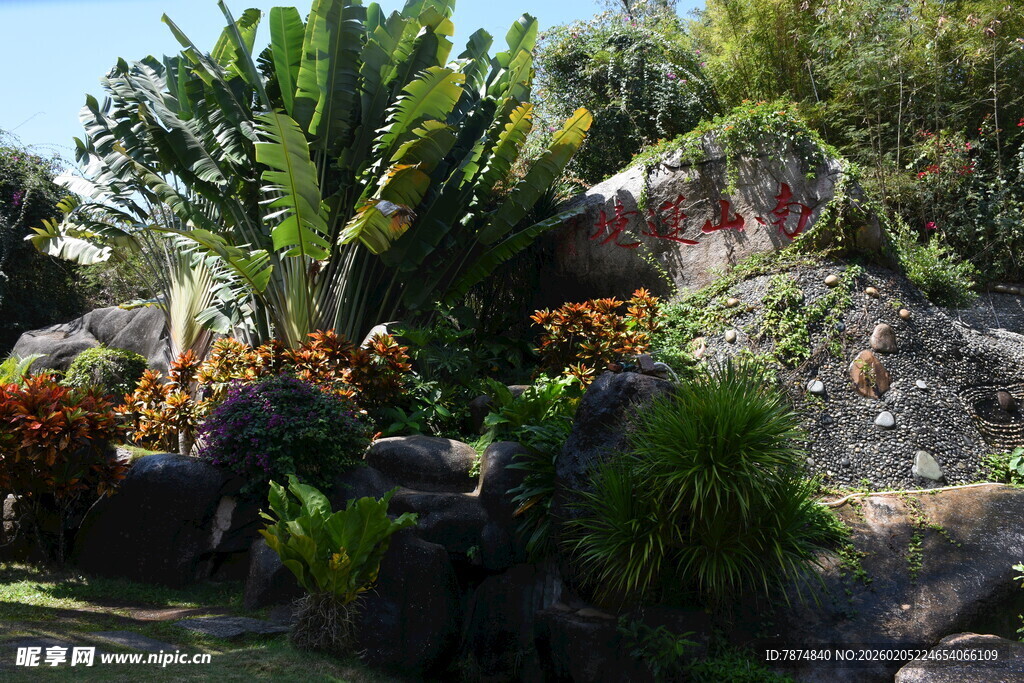 三亚热带岩石旁的多样绿植景观